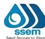SSEM logo